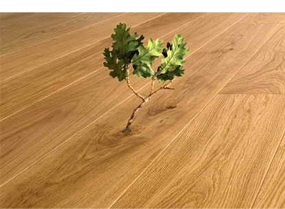 Environmentally Friendly Wood Floor Finishes From All In Hardwood