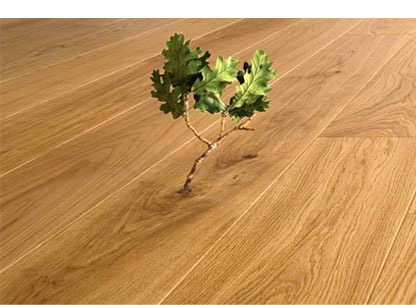 Hardwood Floor Refinishing, Eco Friendly Hardwood Flooring